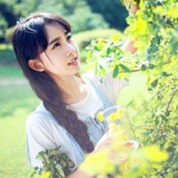 遇见花美男游戏下载