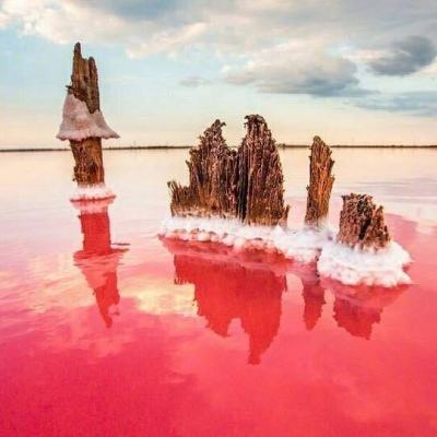 海盗Q传内购破解版下载