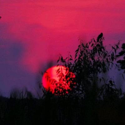 火星援救中文版下载